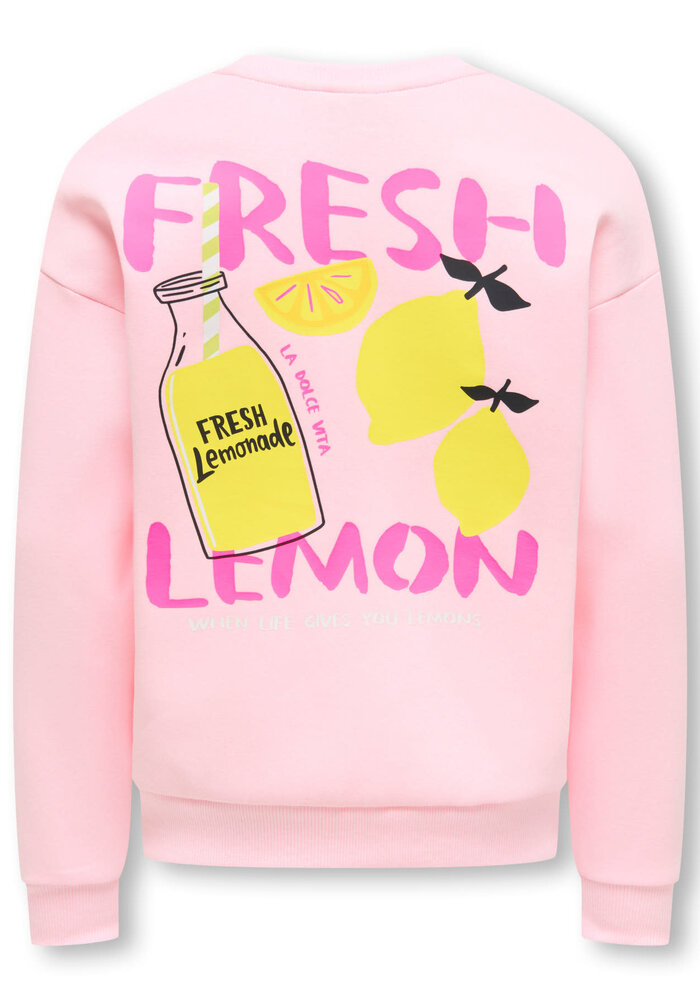 Only Kids KOGCANASTA LS LOOSE PRINTED UB SWT Barely Pink Lemon