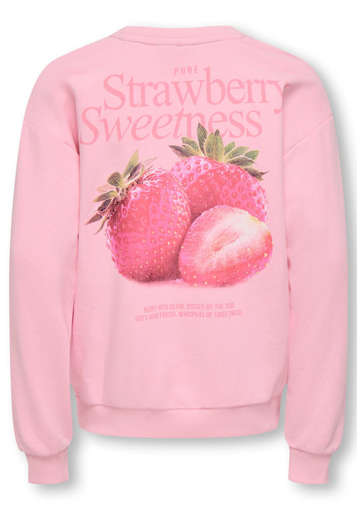 Only Kids KOGPHILEA LIFE L/S LOOSE UB VD SWT NOOS Romance Rose Strawberry