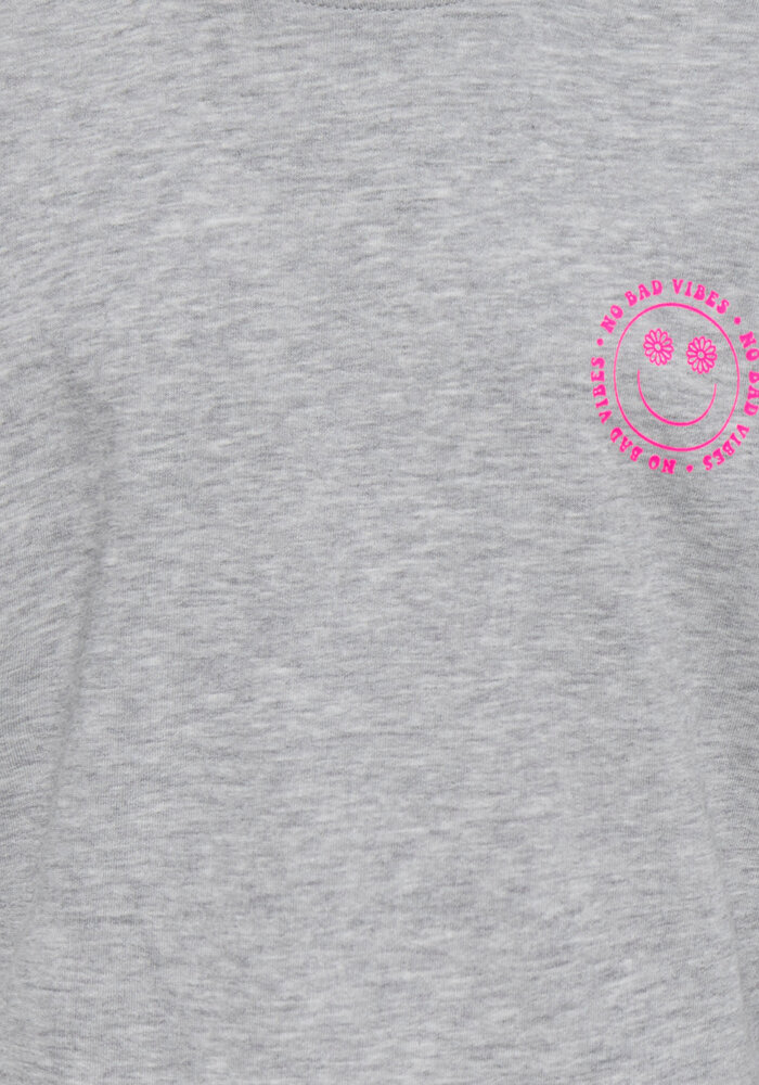 Only Kids KOGJOY LIFE SS PRINTED CREW SWT Light Grey Melange Vibes