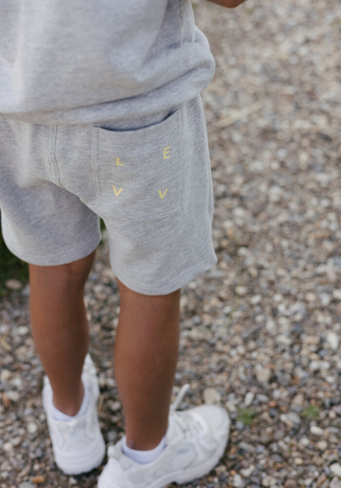 Levv BRADLEY Grey Melee