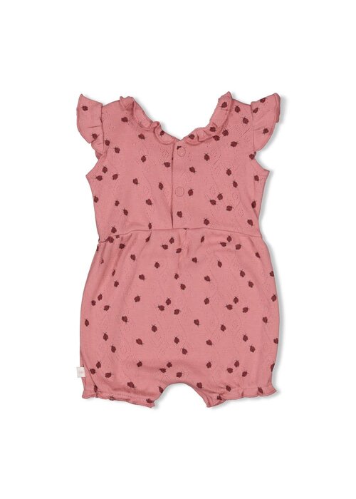 Feetje Feetje Playsuit ajour rib AOP - Ladybug Roze