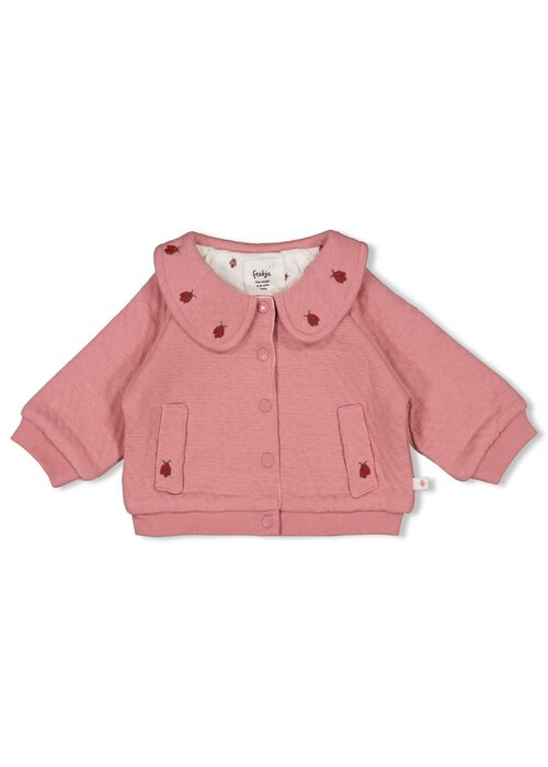 Feetje Feetje Jasje - Ladybug Roze