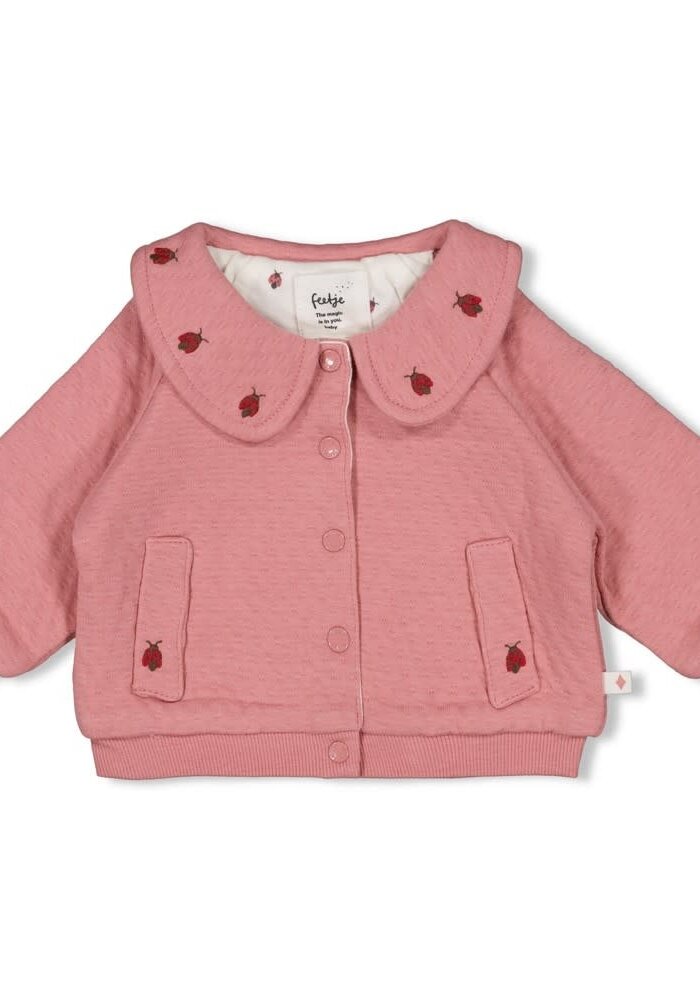Feetje Jasje - Ladybug Roze