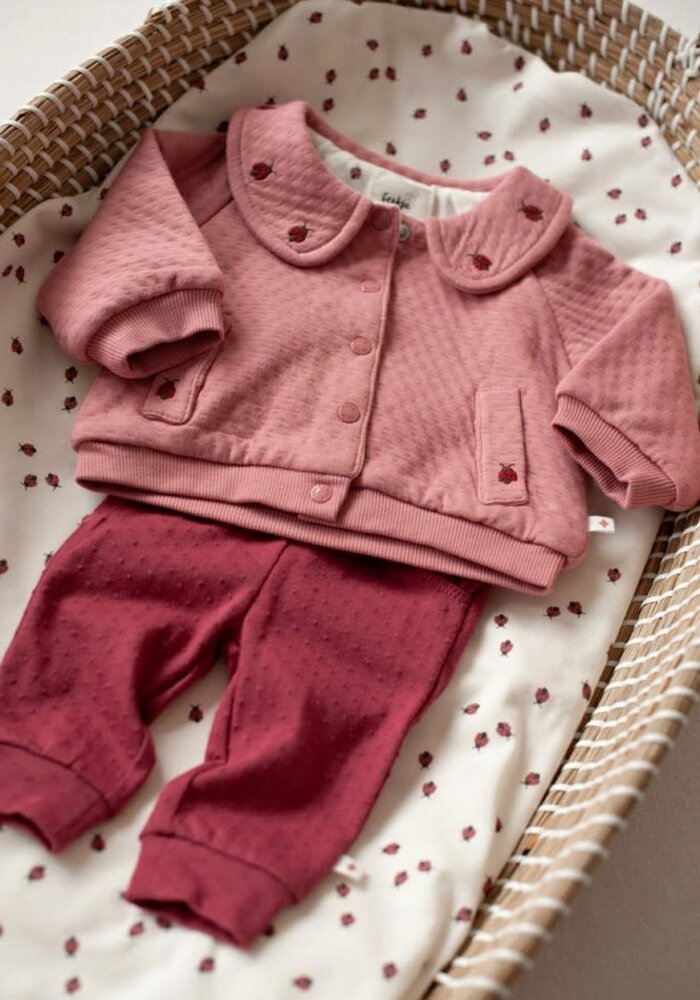 Feetje Jasje - Ladybug Roze