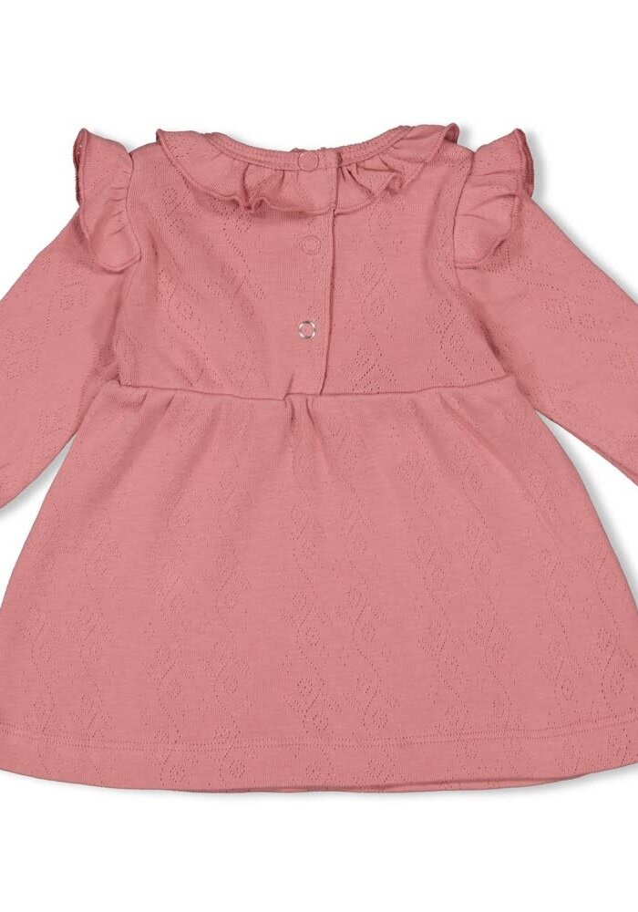 Feetje Jurk ajour rib l/m - Ladybug Roze