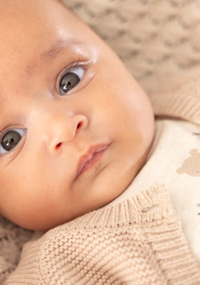 Feetje Longsleeve - Honey Bear Offwhite melange