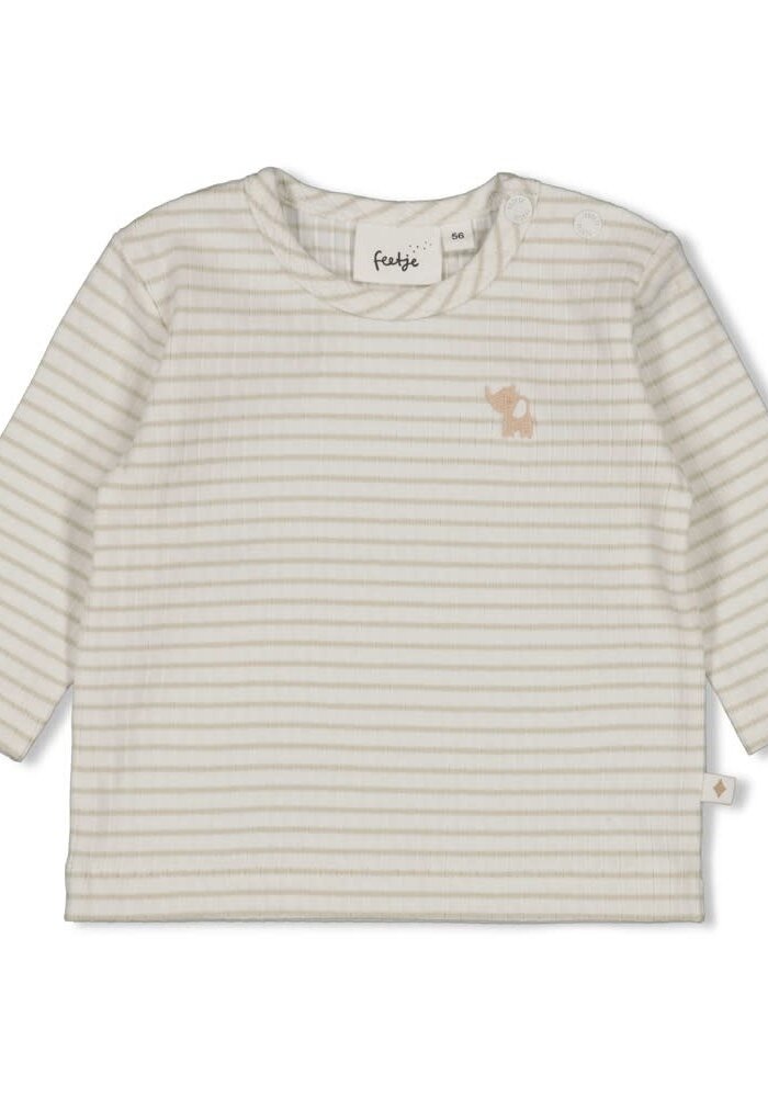 Feetje Longsleeve rib met streep - Elephant Mint