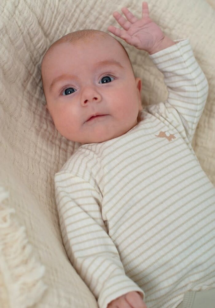 Feetje Longsleeve rib met streep - Elephant Mint