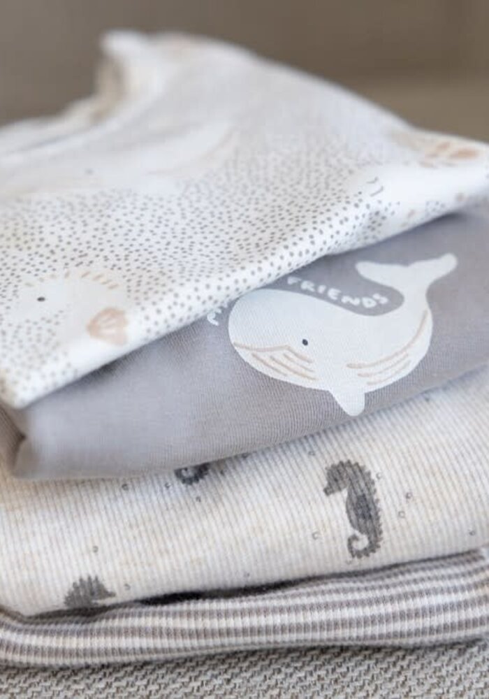 Feetje Longsleeve rib met streep - Sea Sweeties Grijs