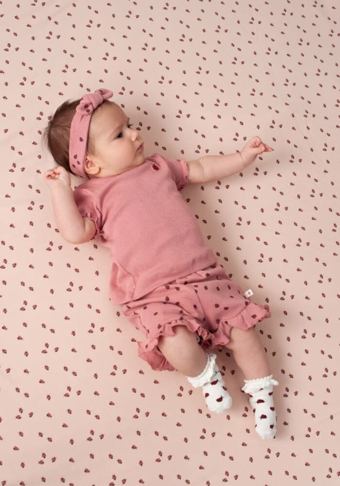 Feetje T-shirt ajour rib - Ladybug Roze