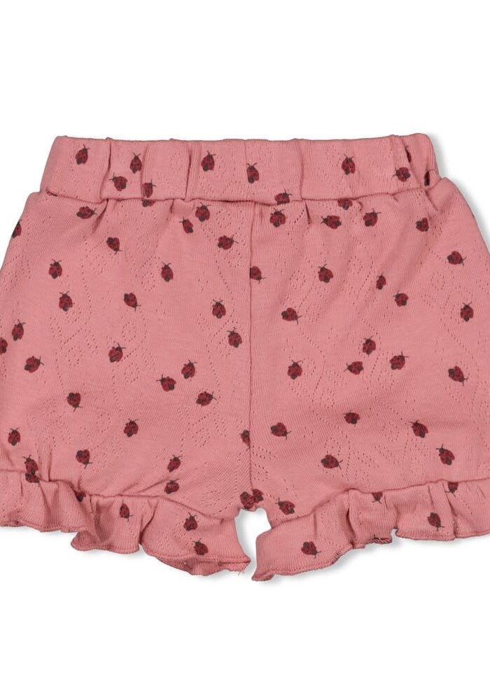 Feetje Short ajour rib AOP - Ladybug Roze