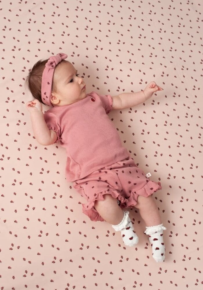 Feetje Short ajour rib AOP - Ladybug Roze