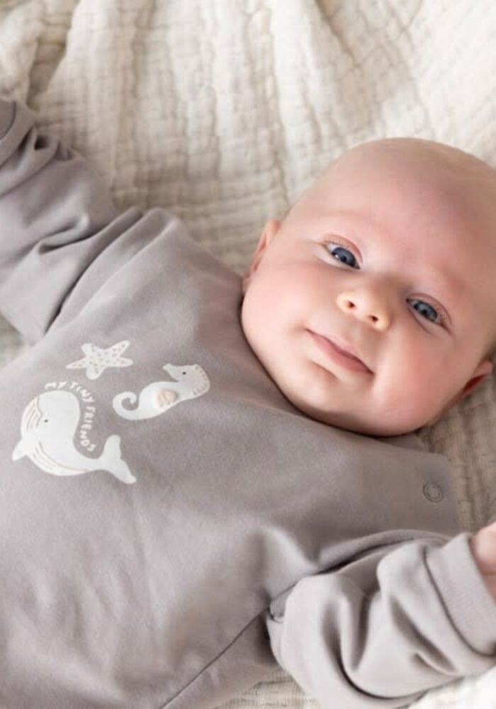 Feetje Broek rib met streep - Sea Sweeties Grijs