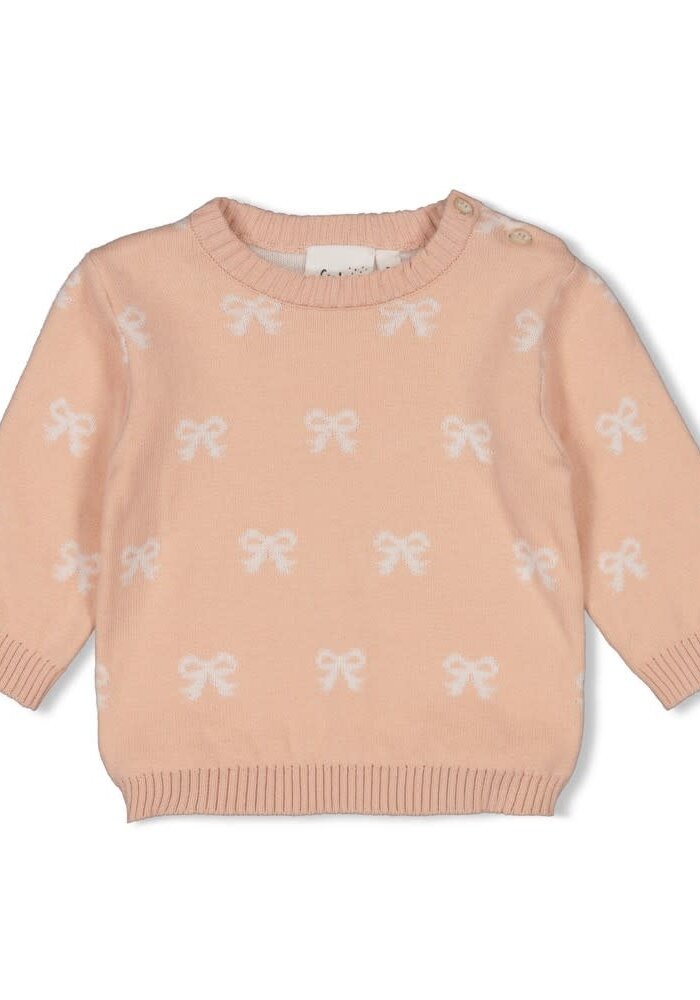 Feetje Sweater gebreid AO - The Knits Roze