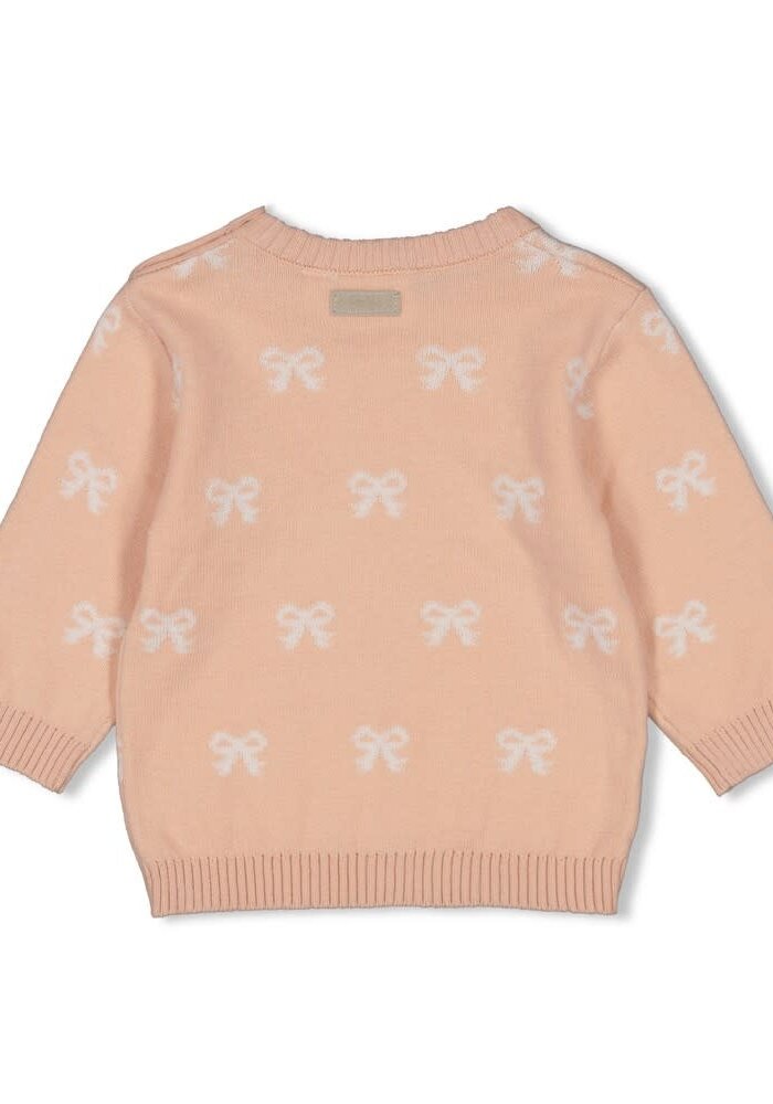 Feetje Sweater gebreid AO - The Knits Roze