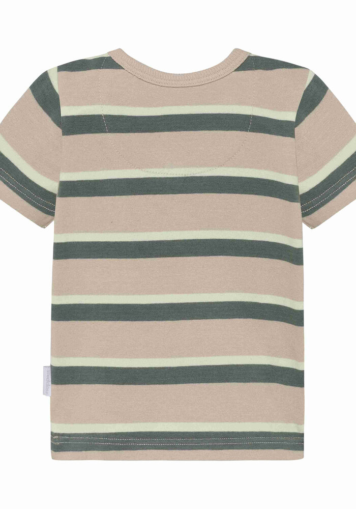 Noppies Tee SS stripe Brown