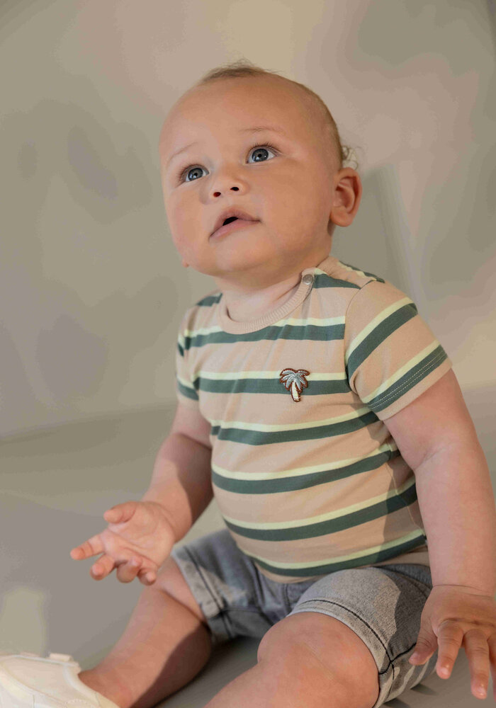 Noppies Tee SS stripe Brown