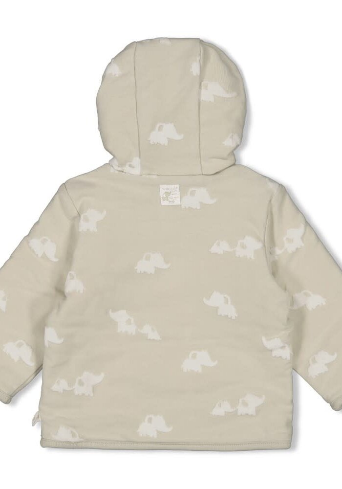 Feetje Omkeerbaar jasje met capuchon AO - Elephant Mint
