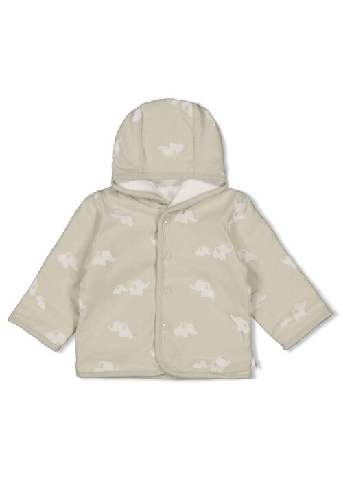Feetje Feetje Omkeerbaar jasje met capuchon AO - Elephant Mint
