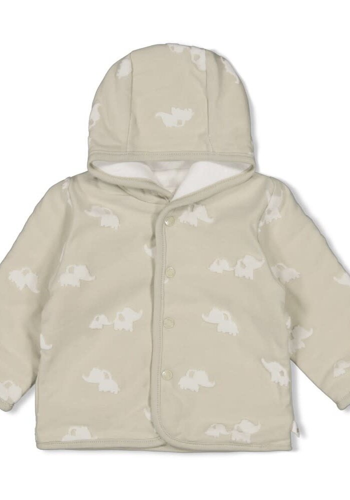 Feetje Omkeerbaar jasje met capuchon AO - Elephant Mint