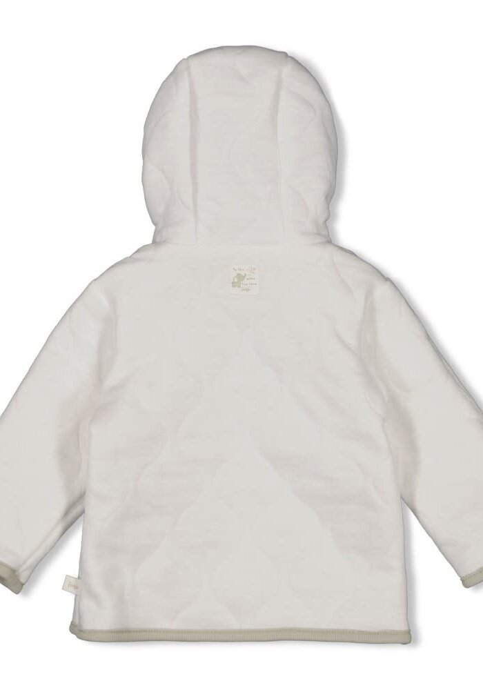 Feetje Omkeerbaar jasje met capuchon AO - Elephant Mint