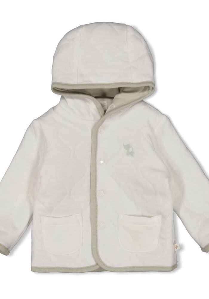 Feetje Omkeerbaar jasje met capuchon AO - Elephant Mint