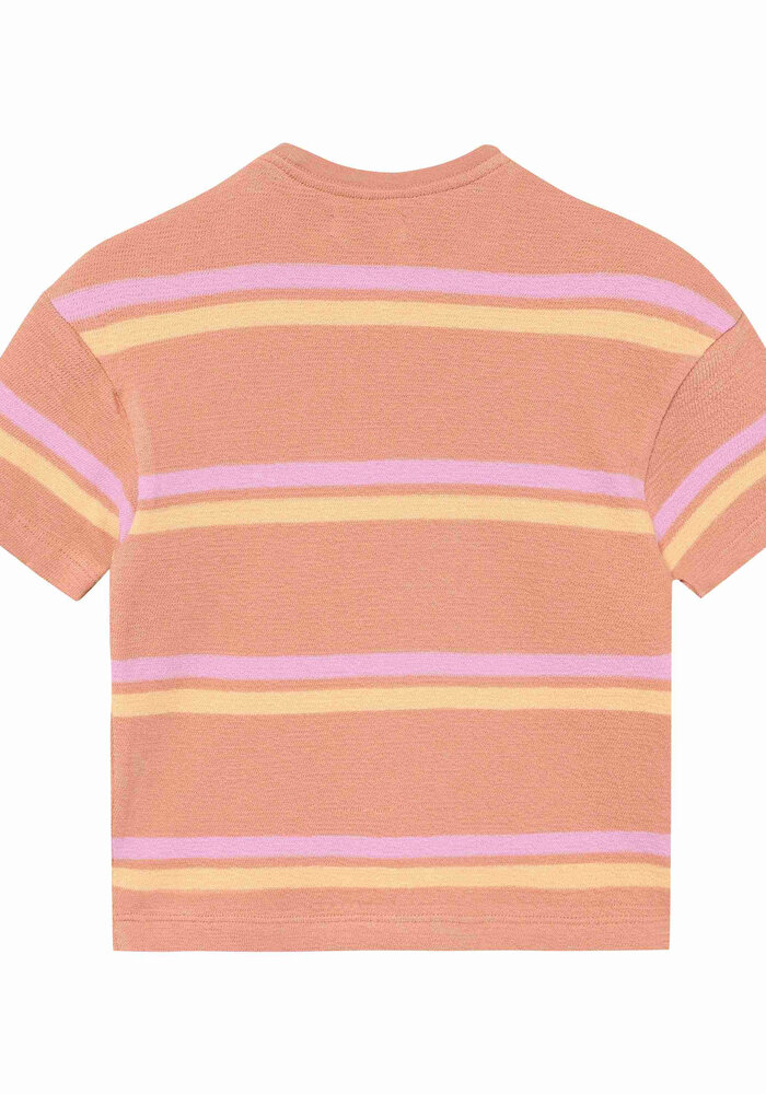 Noppies Tee SS stripe Brown