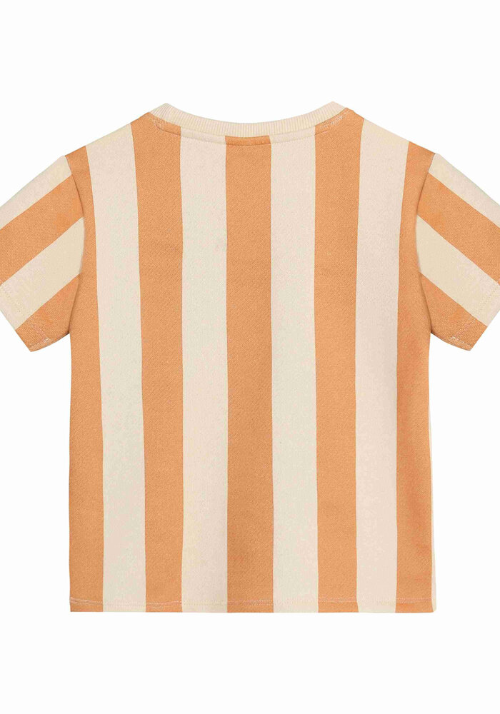 Daily Seven T-shirt Big Stripe Sandstone