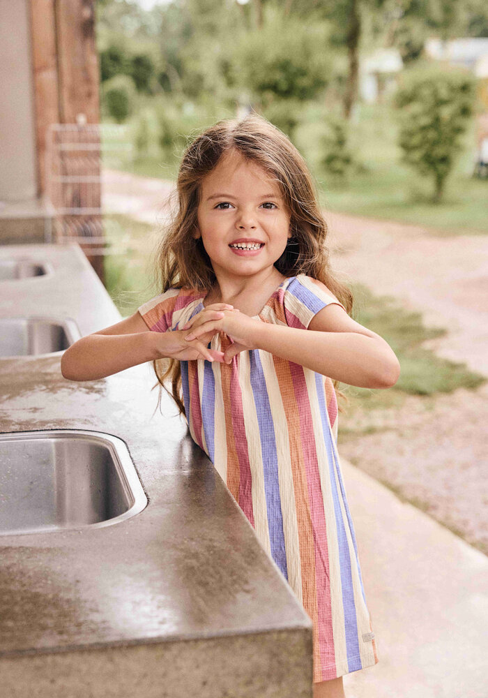 Daily Seven Dress Striped  Heather Rose