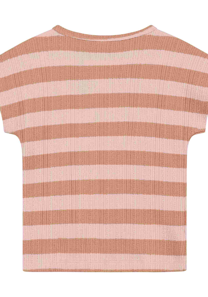 Daily Seven T-shirt Fancy Stripe Silver Pink