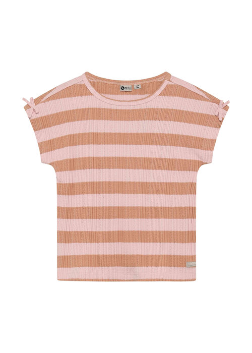 Daily seven Daily Seven T-shirt Fancy Stripe Silver Pink