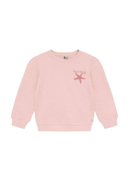 Daily seven Daily Seven Sweater Backprint Silver Pink