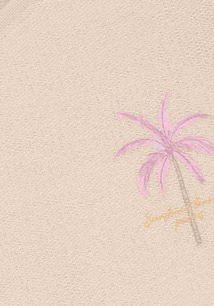 Daily Seven T-shirt Backprint Sandshell