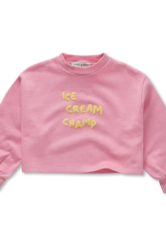 Sproet & Sprout Boxy batman sleeve ice cream