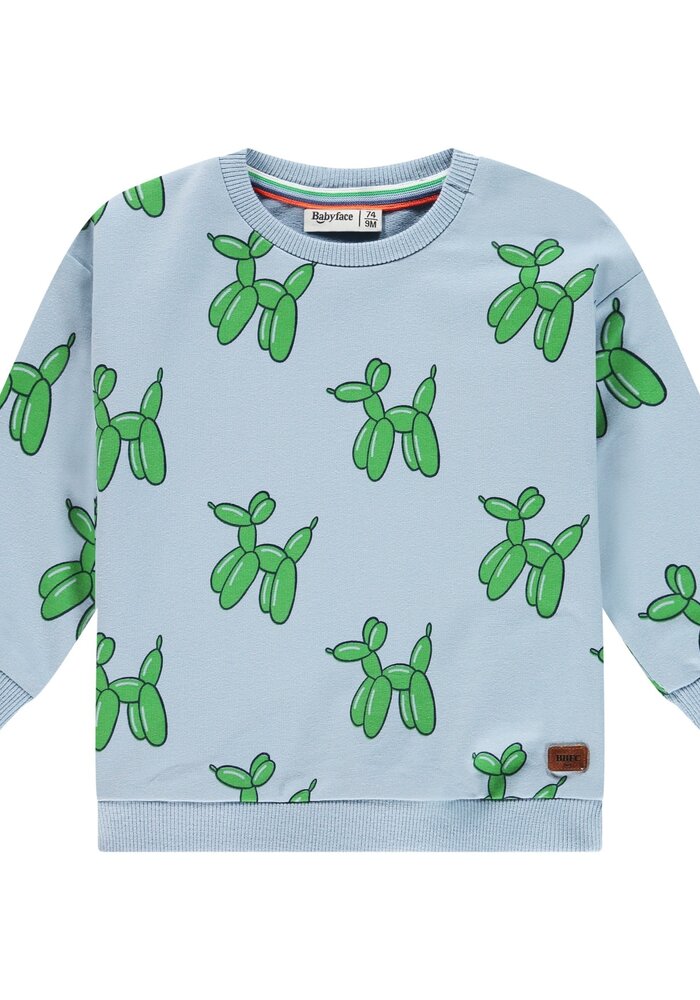 Babyface baby boys sweatshirt River