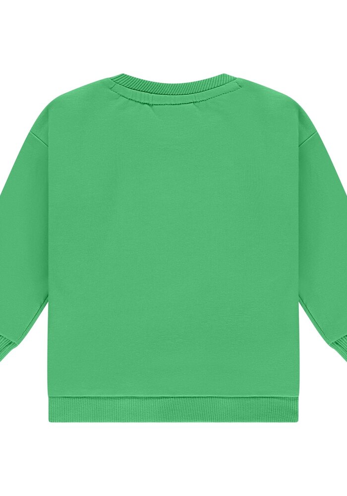 Babyface baby boys sweatshirt Frog
