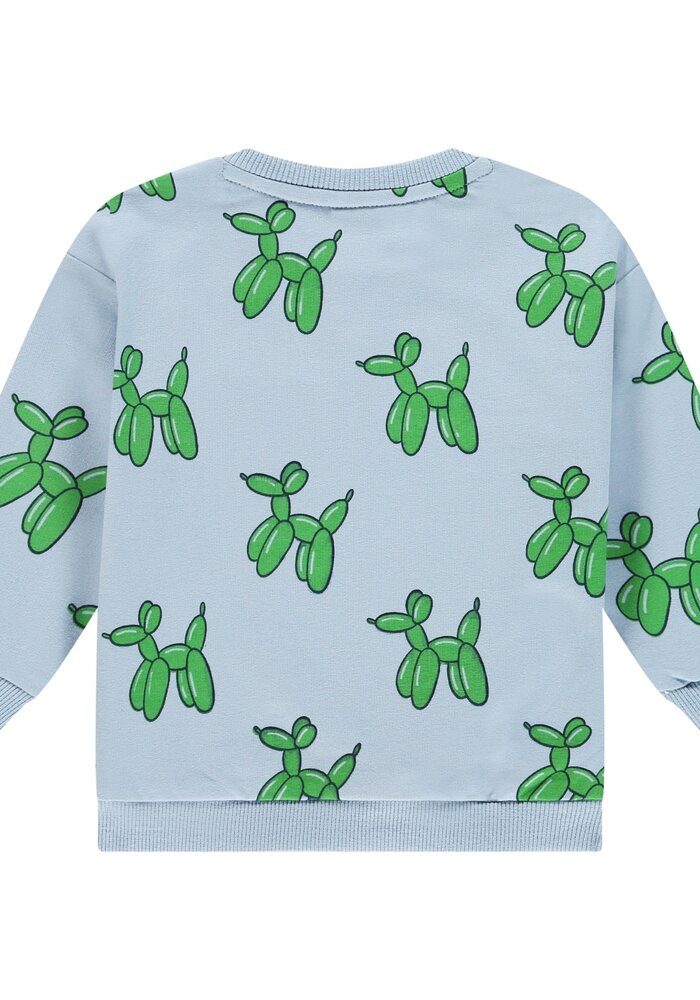 Babyface baby boys sweatshirt River