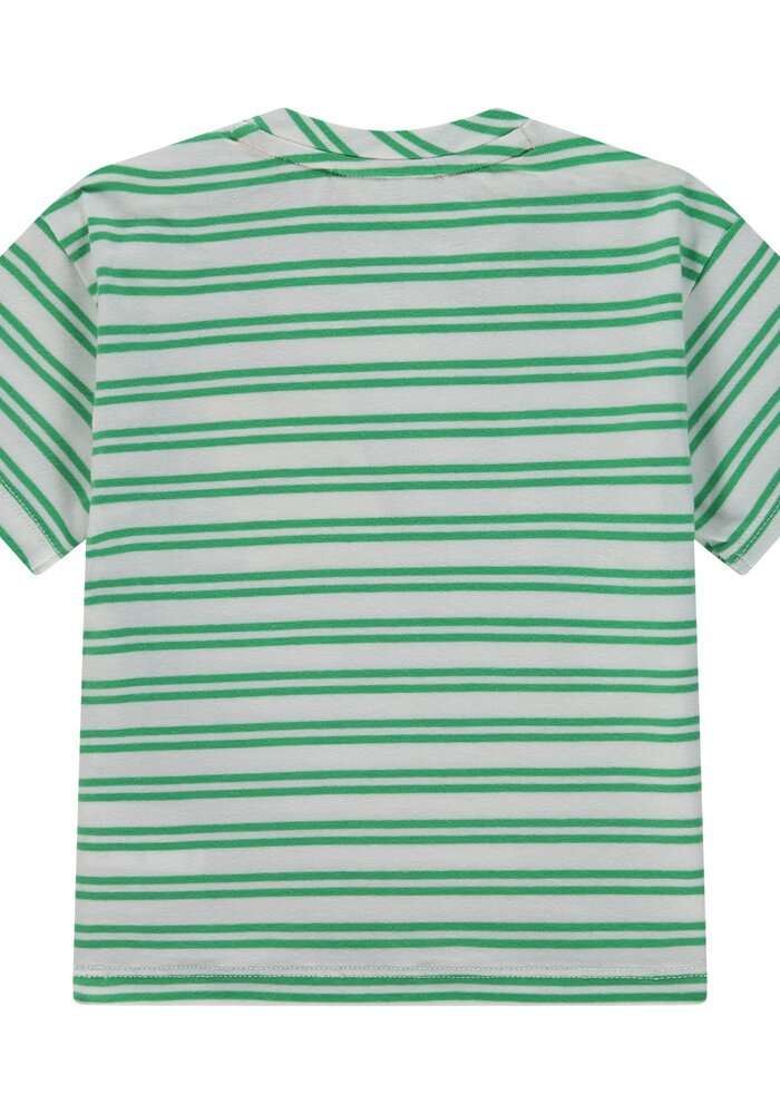 Babyface baby boys t-shirt short sleeve wide fit Frog