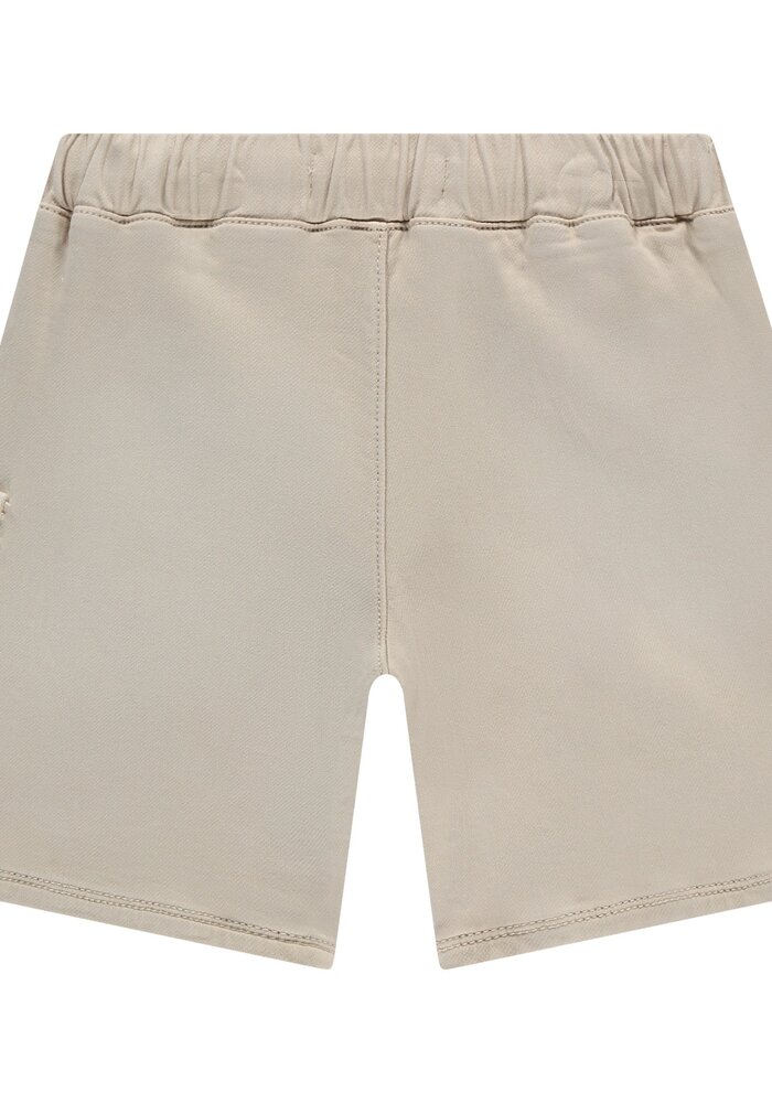 Stains and Stories boys short Stone