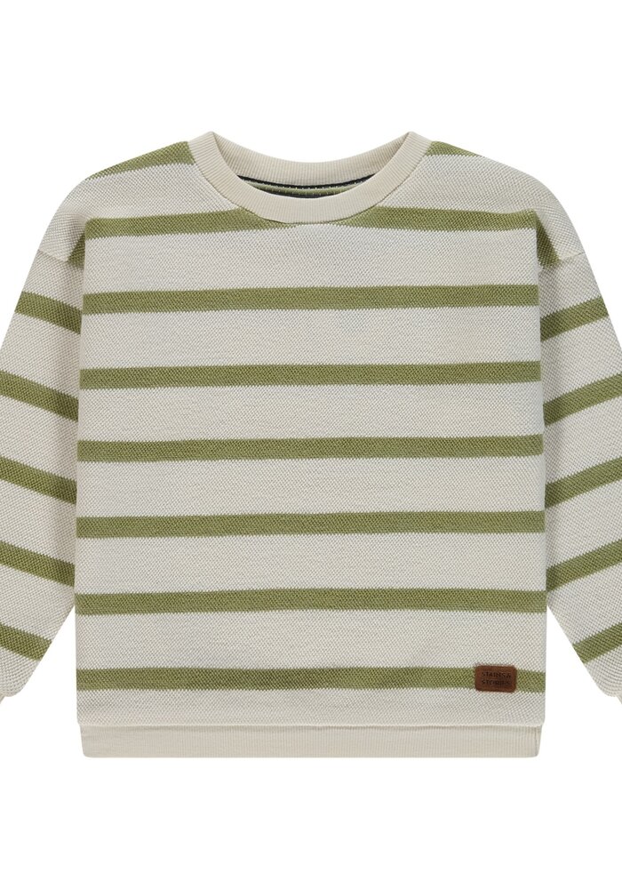 Stains and Stories boys sweatshirt Grass