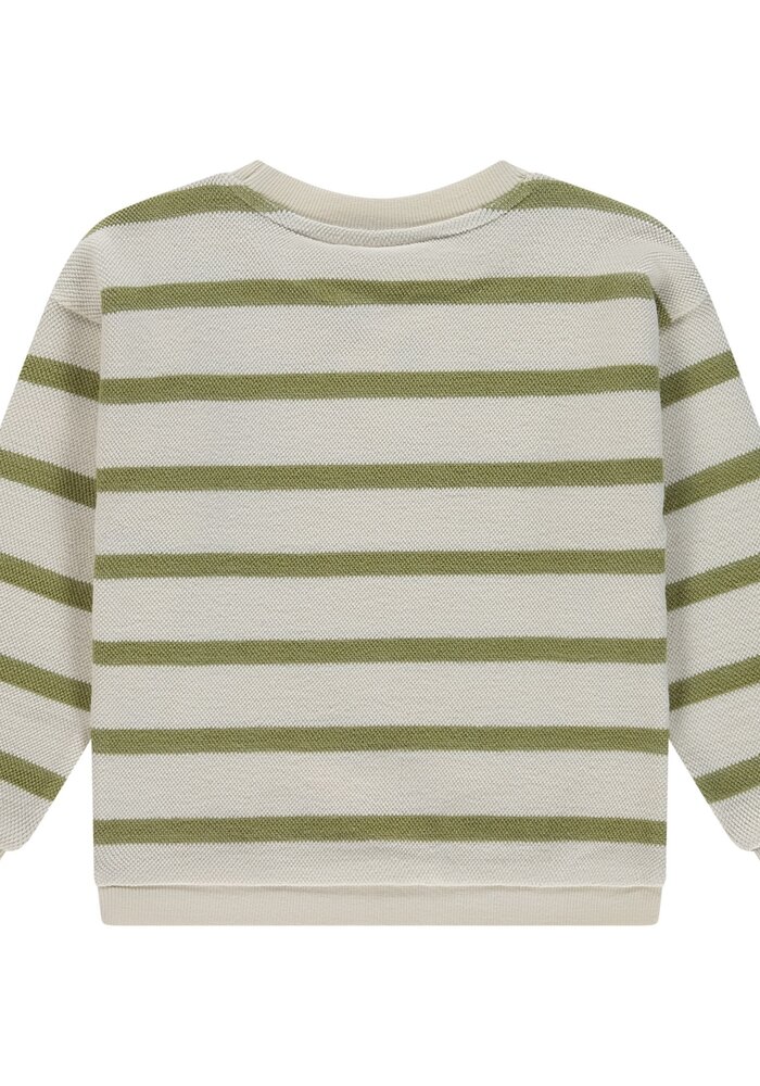 Stains and Stories boys sweatshirt Grass