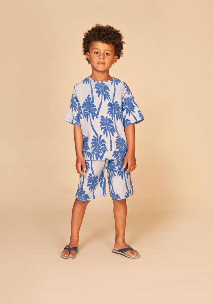 Stains and Stories boys t-shirt short sleeve Royal