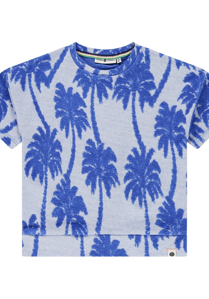 Stains and Stories boys t-shirt short sleeve Royal