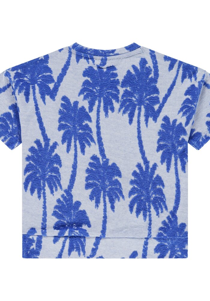 Stains and Stories boys t-shirt short sleeve Royal