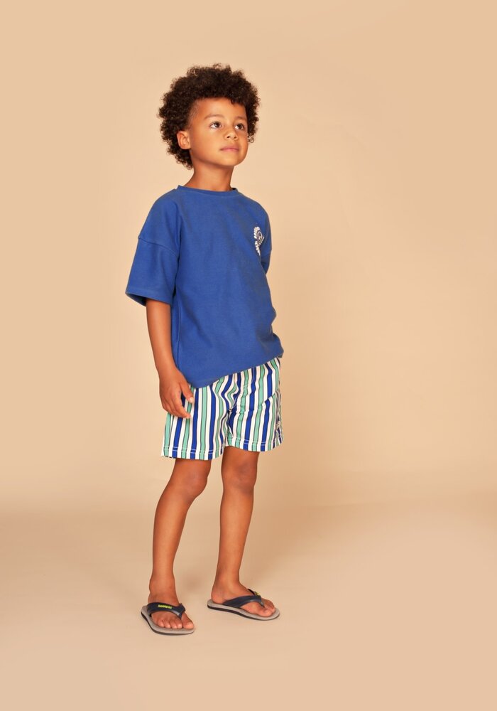 Stains and Stories boys t-shirt short sleeve Royal I