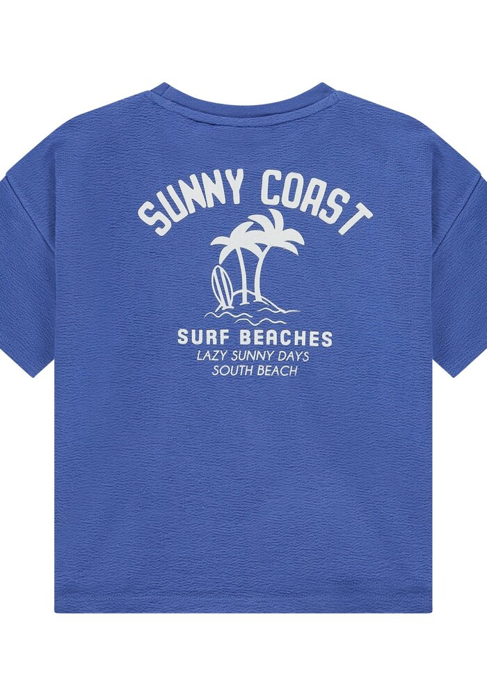 Stains and Stories boys t-shirt short sleeve Royal I