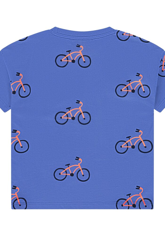 Stains and Stories boys t-shirt short sleeve Royal II