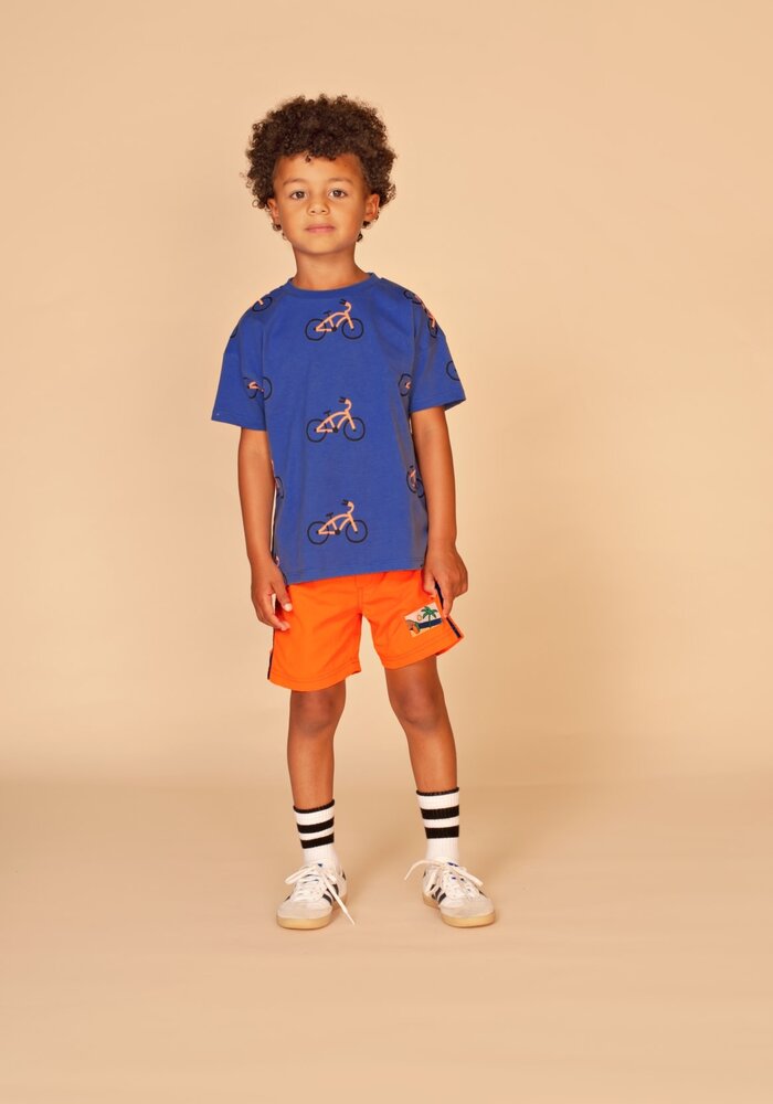 Stains and Stories boys t-shirt short sleeve Royal II