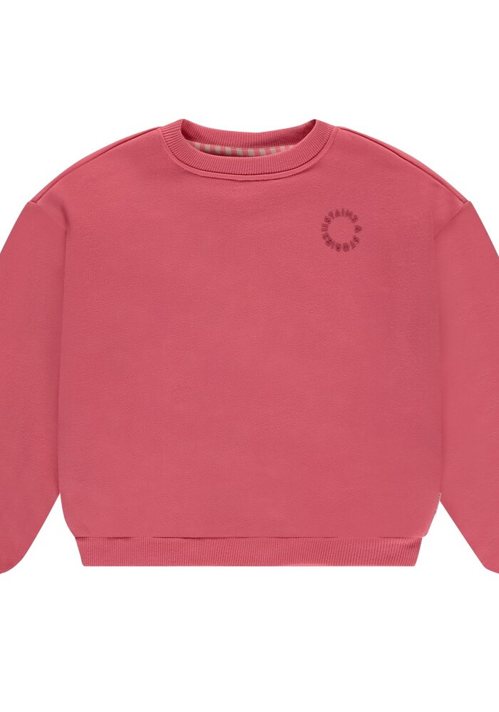 Stains and Stories girls sweatshirt Pink