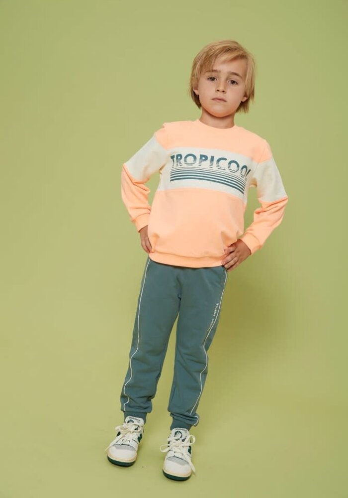 Sturdy Broek - Lagoon Legends Petrol